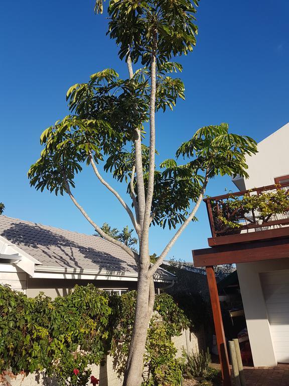 Apartmán Founders Keepers - Leisure Isle Knysna Exteriér fotografie